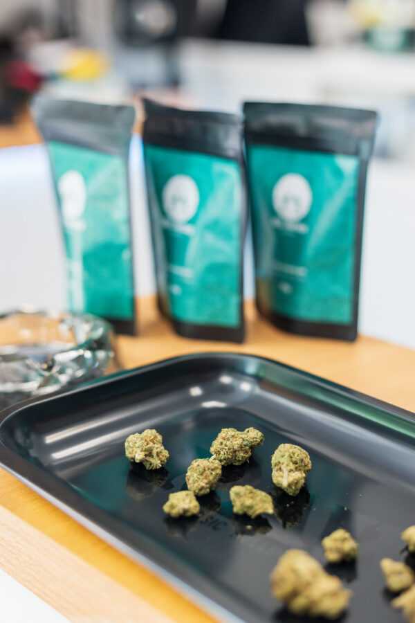 Mini Buds de CBD Mr.Hemp, 10g - Image 2