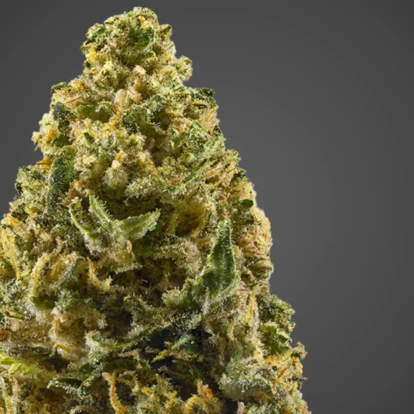Flor de CBD – Northern Lights Indoor - Image 3
