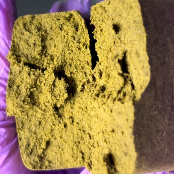 Hash CBD Mr. Hemp - Golden Mousse Lemon - Image 2