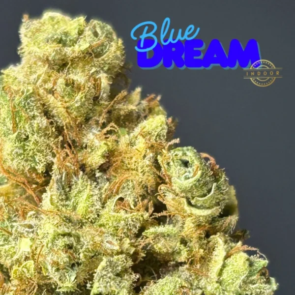 Flor de CBD - Blue Dream Indoor - Image 2