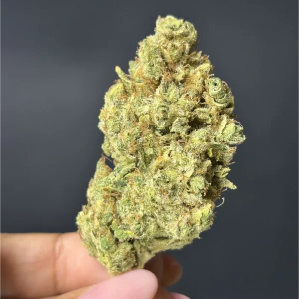 Flor de CBD - Blue Dream Indoor - Image 3