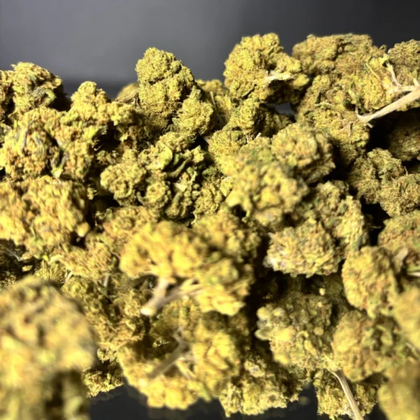 Flor de CBD - Tangie Tonic Greenhouse - Image 2