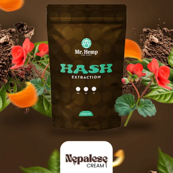 Hash CBD - Nepalese Cream