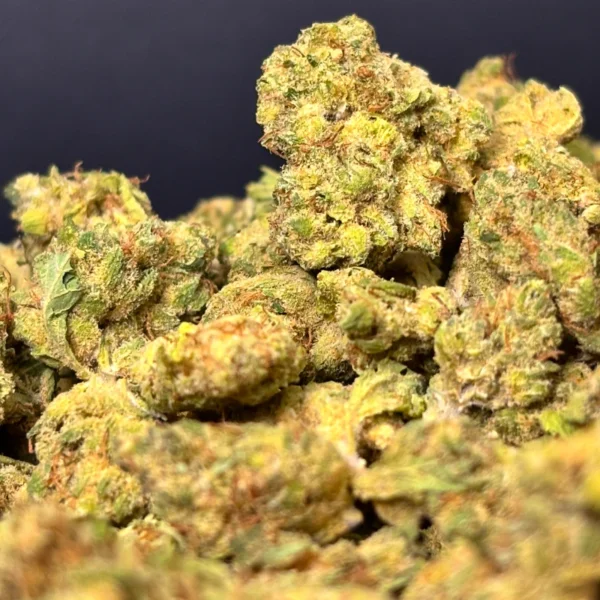 Medium Buds de CBD - Blue Dream