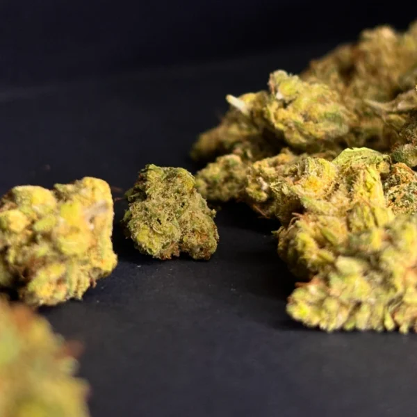 Medium Buds de CBD - Blue Dream - Image 2