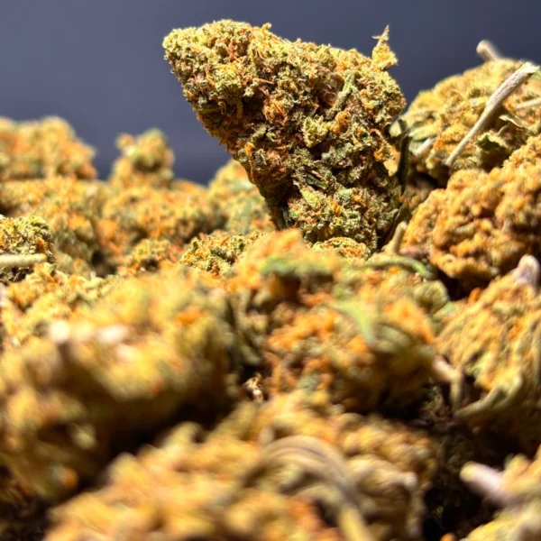 Flor de CBD - Skittlez Greenhouse - Image 3