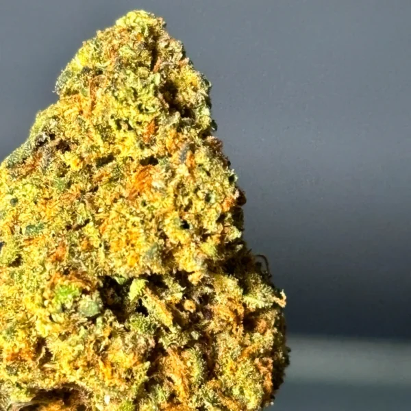 Flor de CBD - Skittlez Greenhouse - Image 2