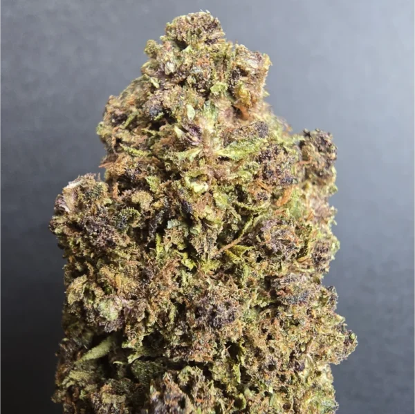 Flor Exótica HPC- Purple Grape
